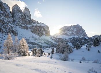 a-new-winter-2024-1