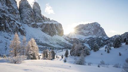a-new-winter-2024-1