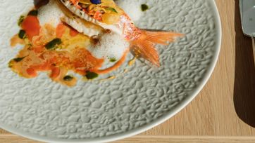 Piatto gourmet con filetto di pesce decorato, servito su piatto bianco con schiuma e salsa.