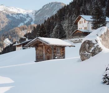 Snow-covered landscape